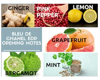 opening notes of Bleu De Chanel during review are ginger, pink pepper, lemon, grapefruit, bergamot and ginger.