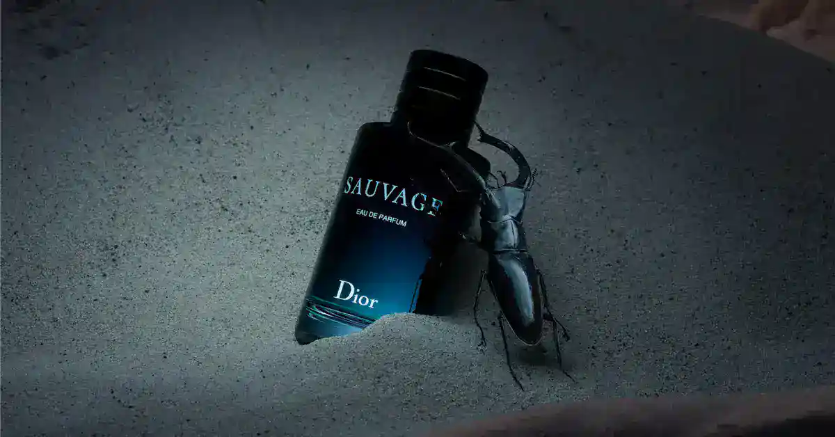 Dior Sauvage EDP review in 2023-A Blind Buy - OppositeAttracts