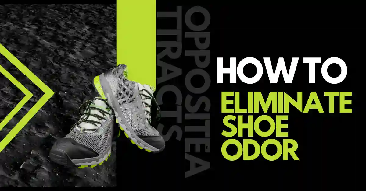 the picture shows feature image of how to eliminate shoe odor