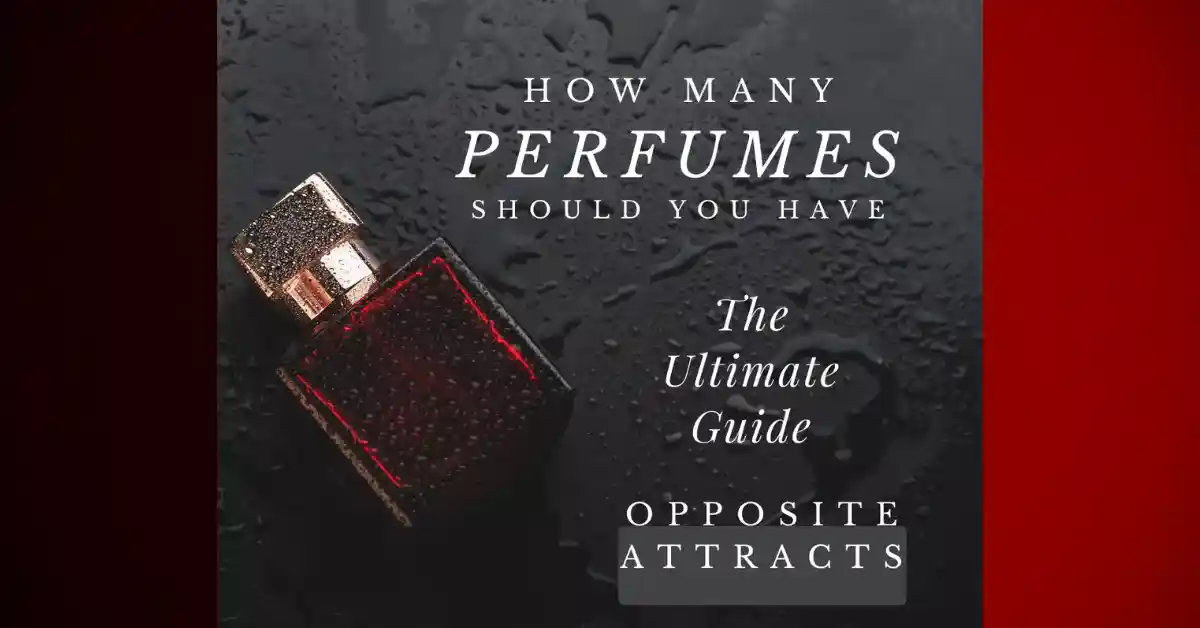 Picture is showing graphical representations on How Many Perfumes Should A person Have?